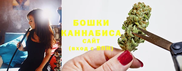 мет Карпинск